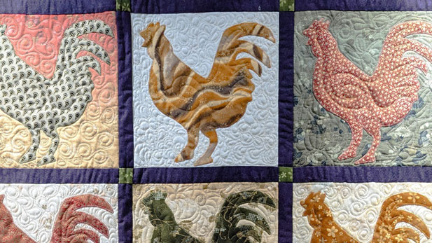 Tucson Botanical Gardens: Quilts in the Garden