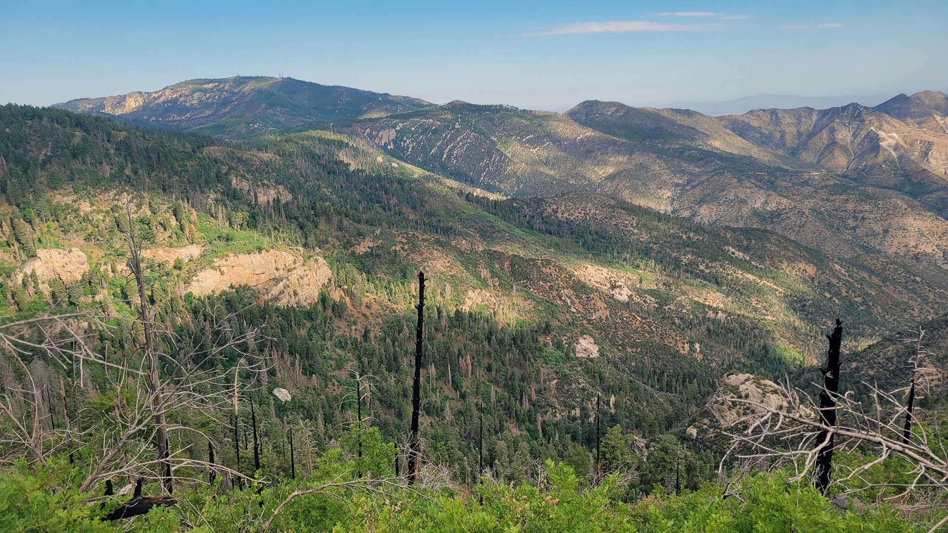 National Forest Catalina Mountains