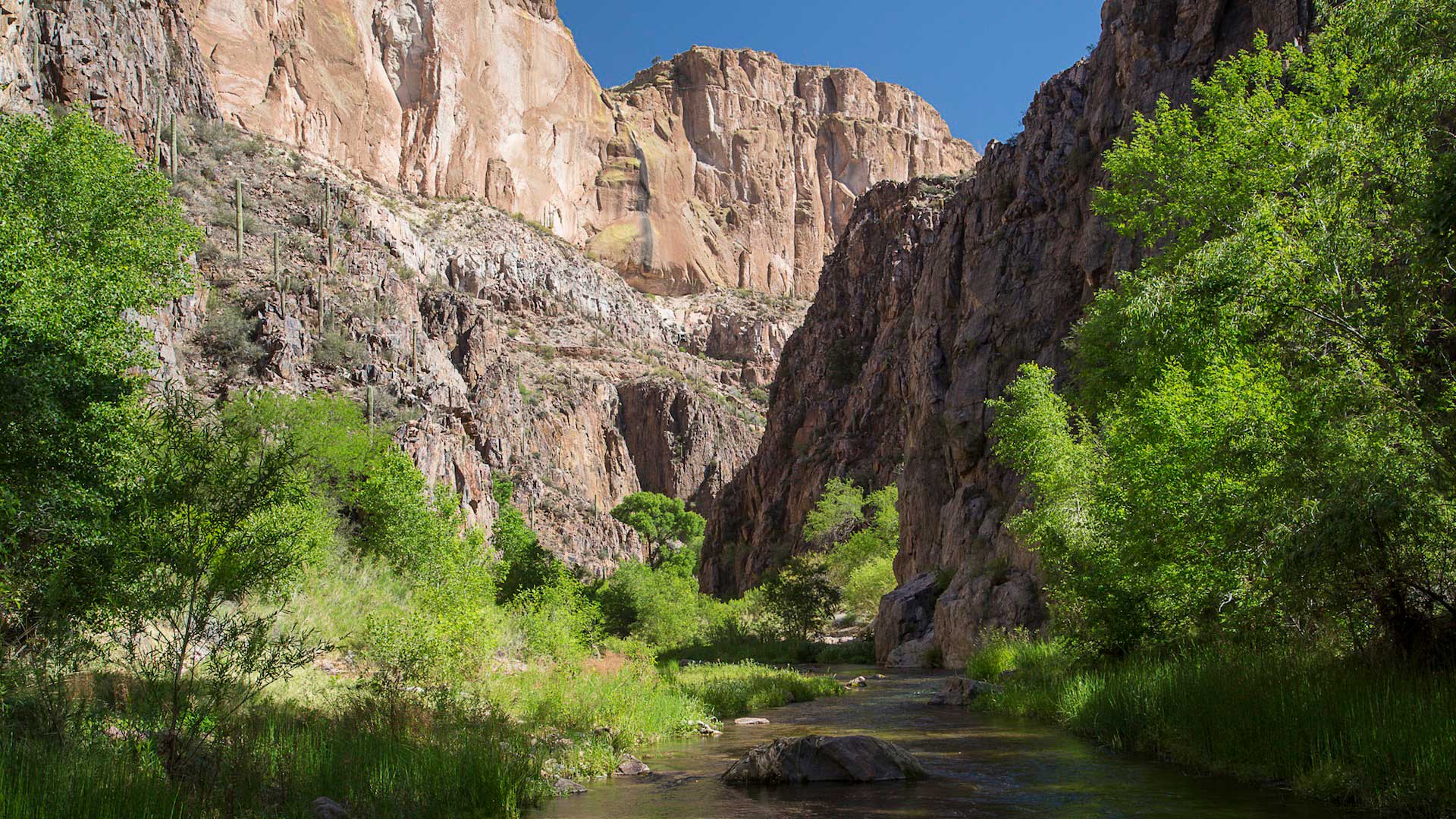 The Aravaipa Canyon Wilderness west of Safford.