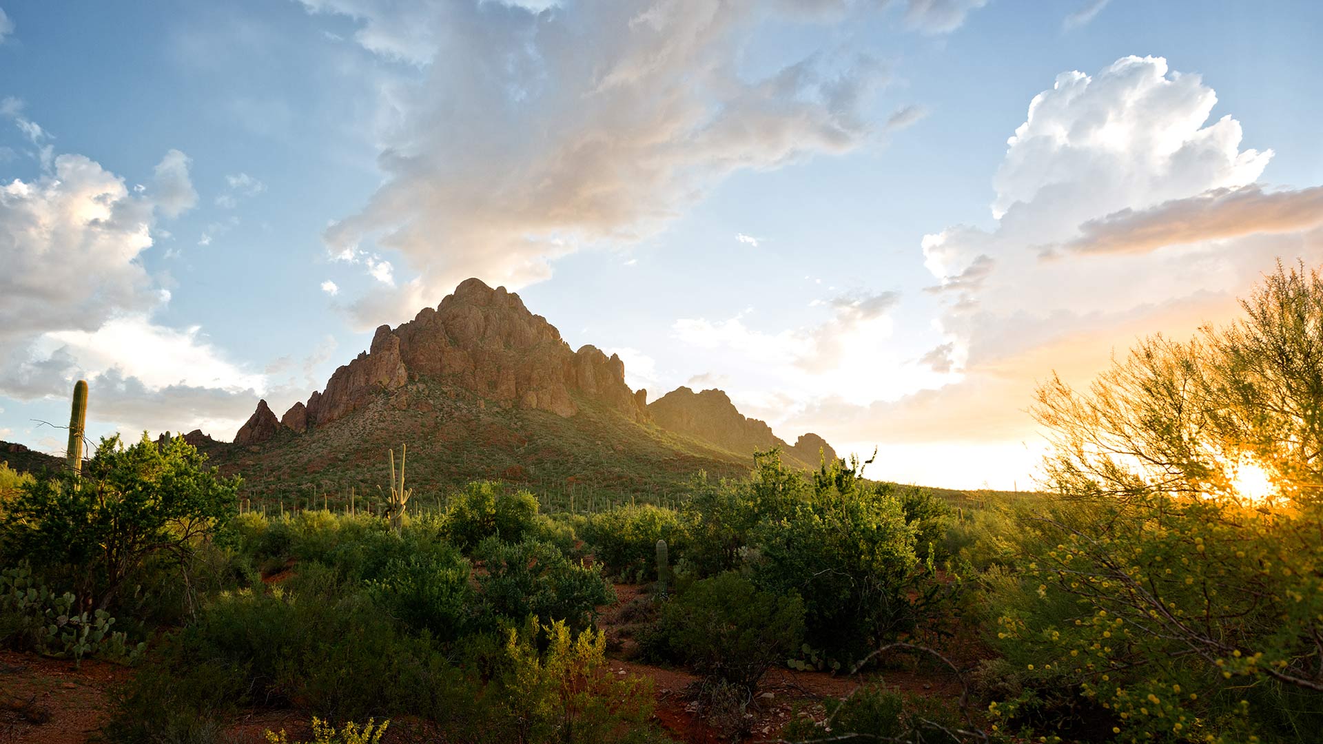 Ironwood National Forest Ragged Top