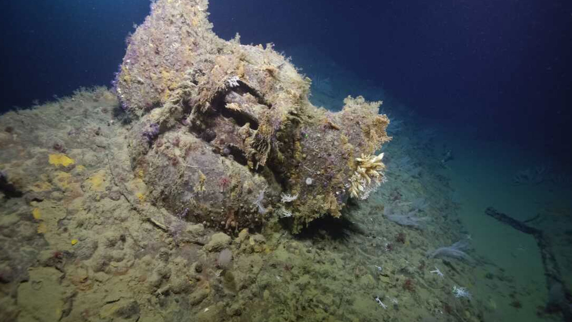 The unique structure and stamps on the base of the anchor, with "Navy Yard" visible through the marine growth, helped confirm the identity of the USS New Orleans' bow.