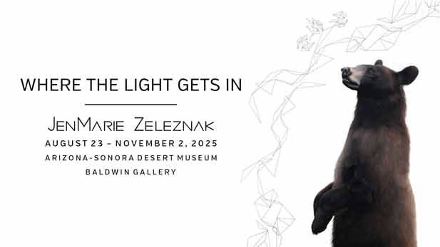 Where the Light Gets In