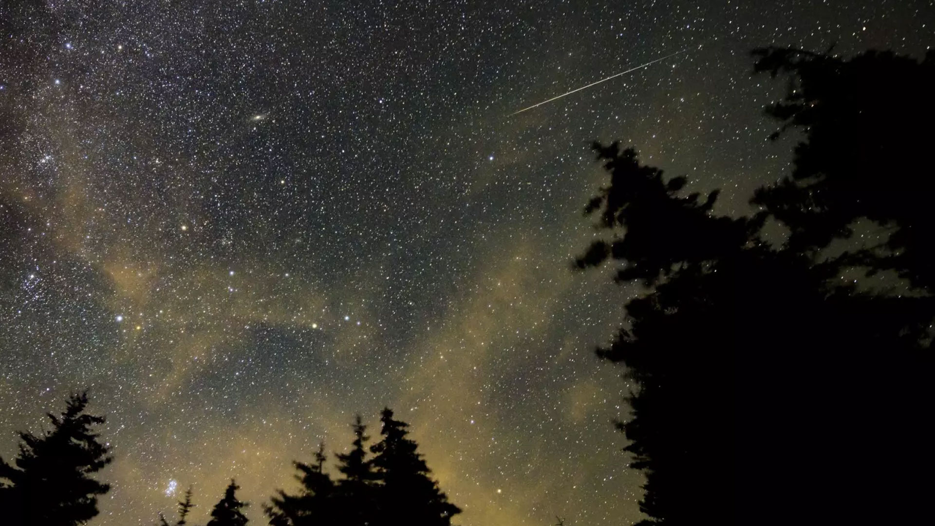 perseids2021