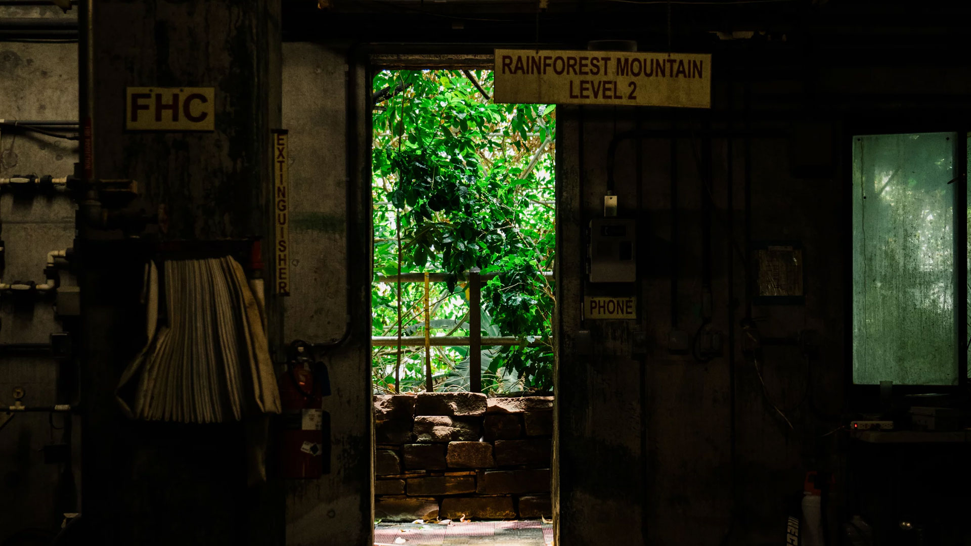 NPR Biosphere 2 rainforest door