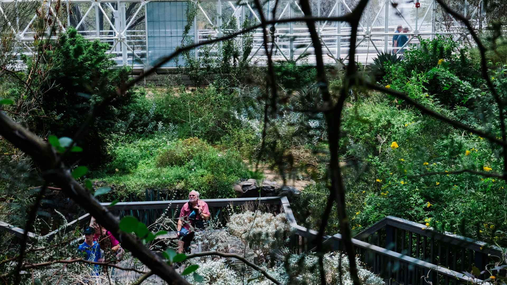 NPR Biosphere 2 guests