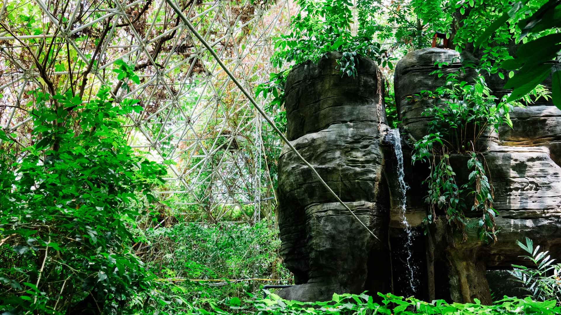 NPR Biosphere 2 waterfall