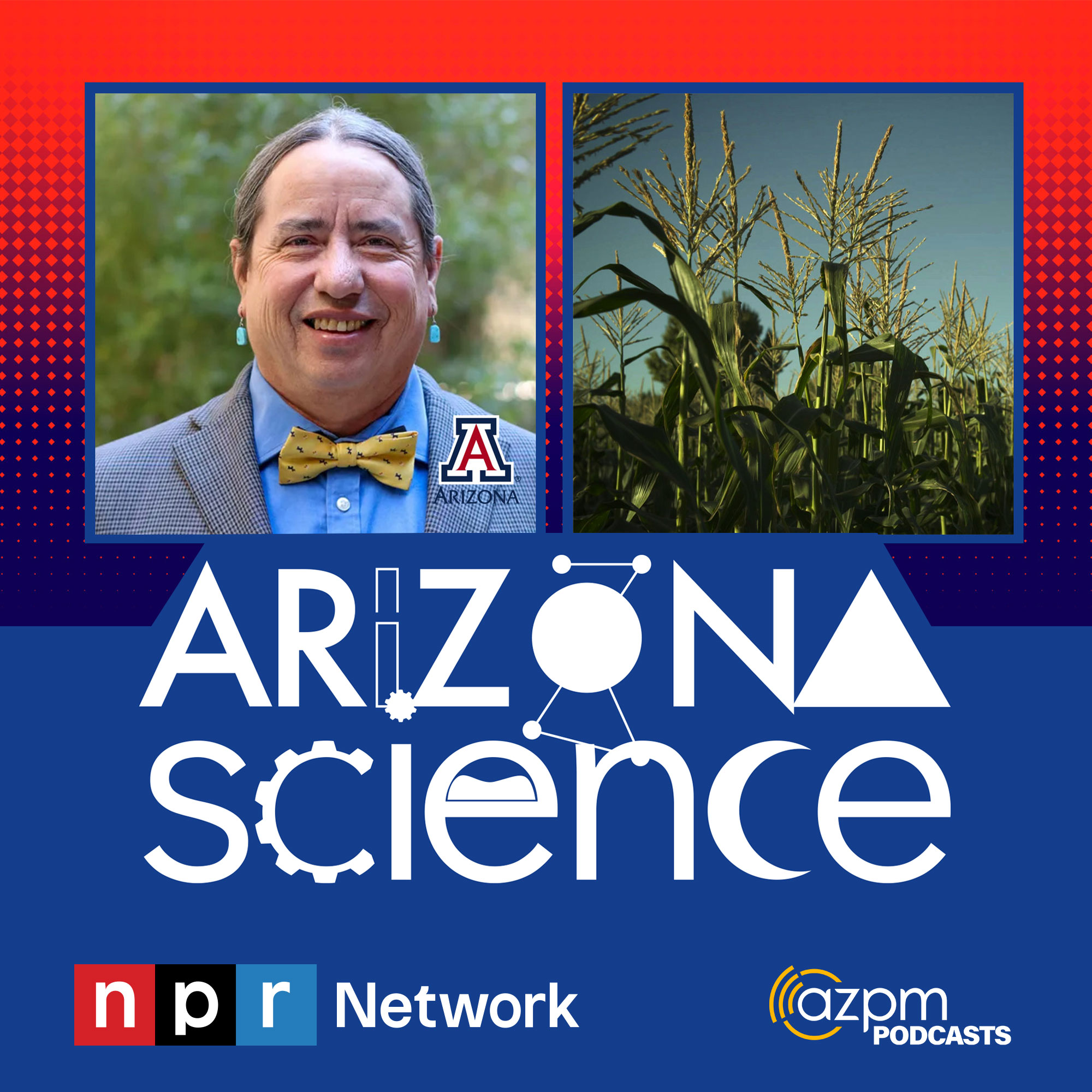 Using dryland farming techniques to grow crops in the Southwest