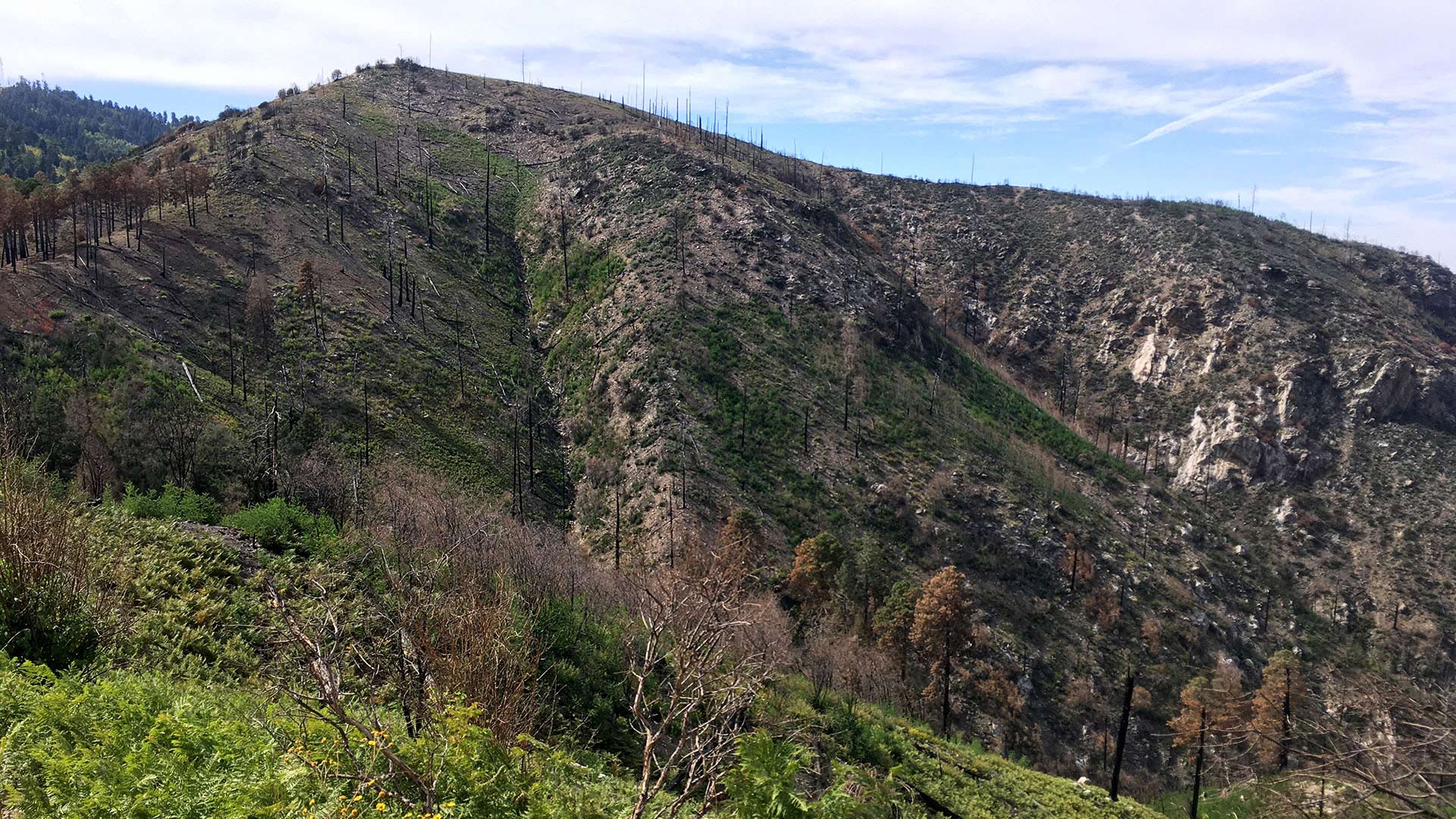 The ridge outside Summerhaven in early October 2020, months after the Bighorn Fire.