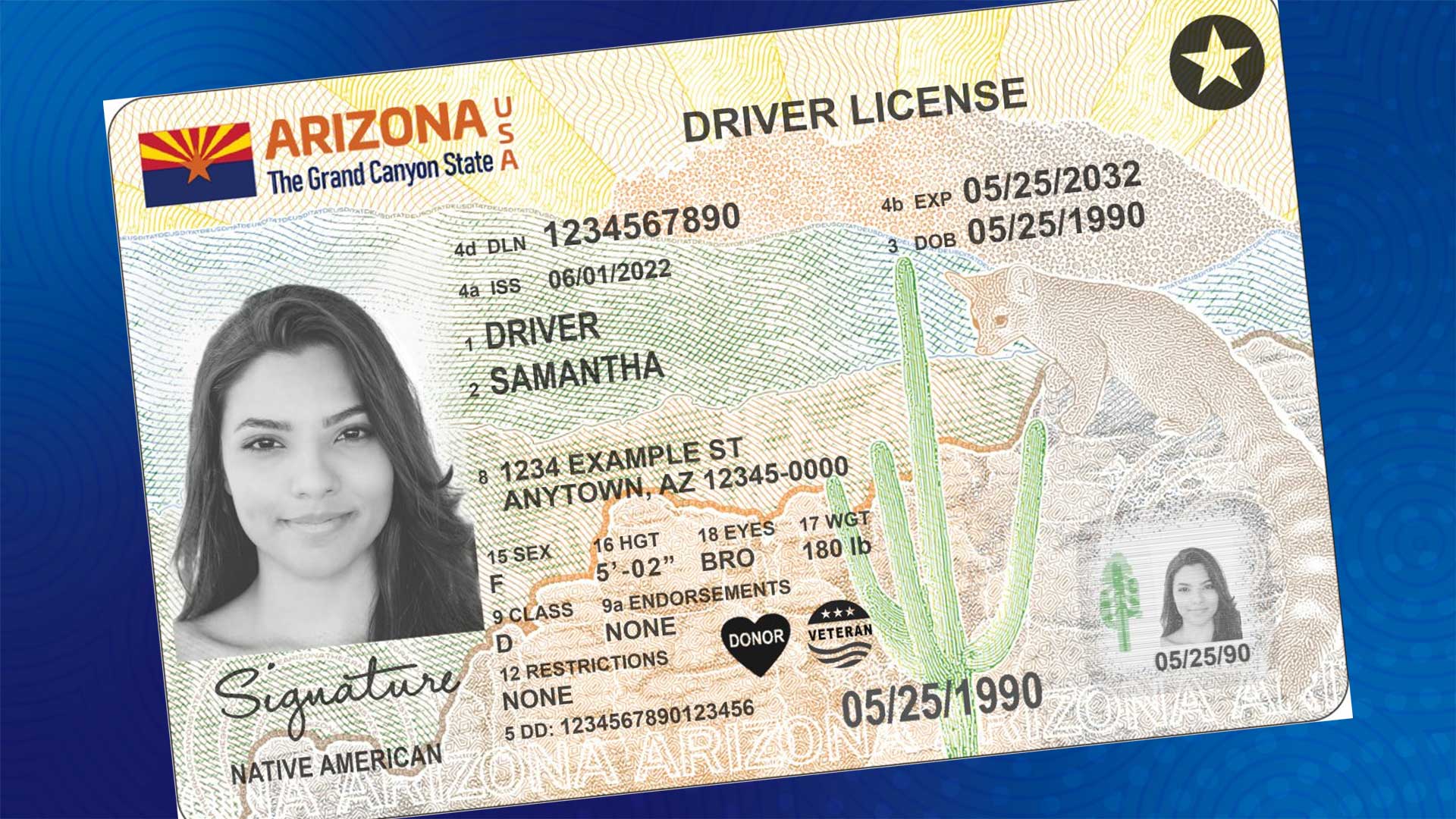Native American designation now available on Arizona driver licenses and  IDs