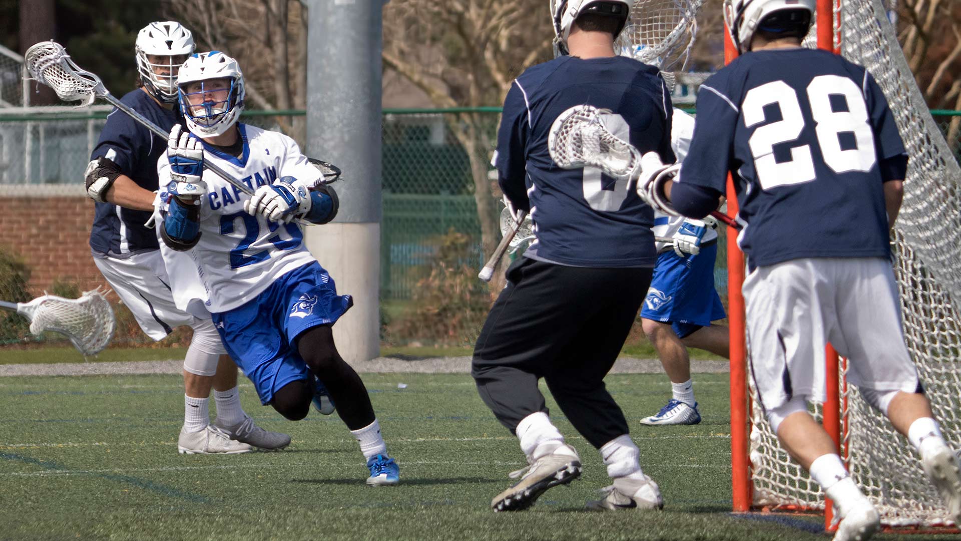 History of lacrosse gets a spotlight at Tucson Festival of Books