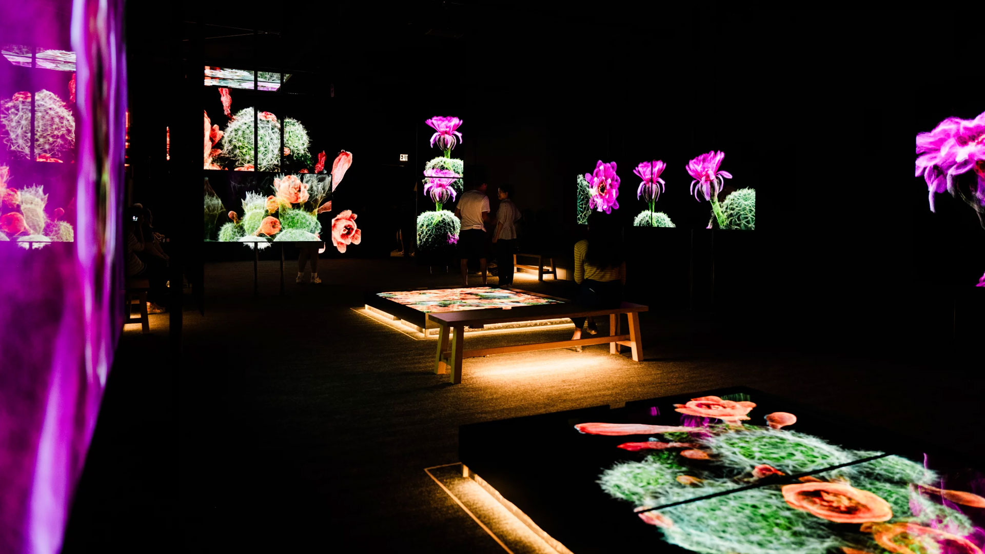 The Sonoran Desert teems with wildlife. These 3D scans could help
