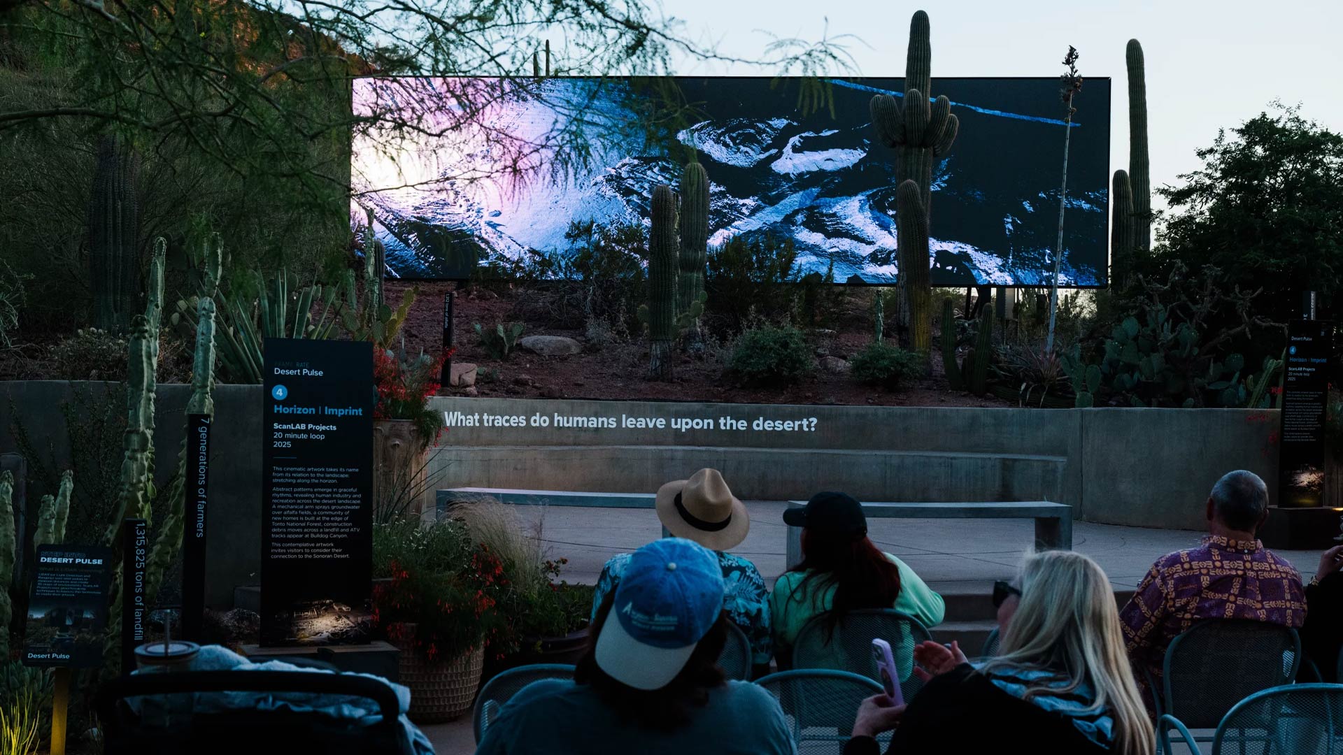 The Sonoran Desert teems with wildlife. These 3D scans could help