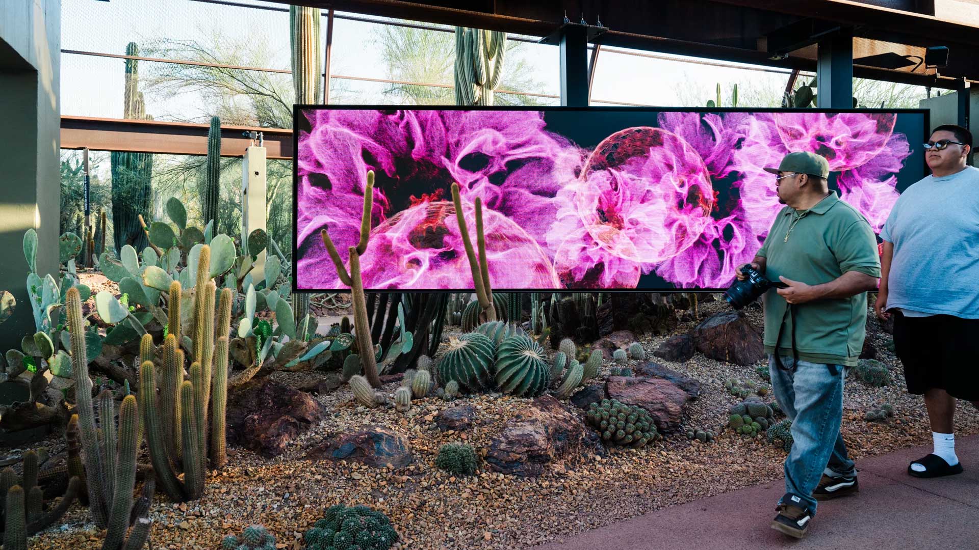 The Sonoran Desert teems with wildlife. These 3D scans could help