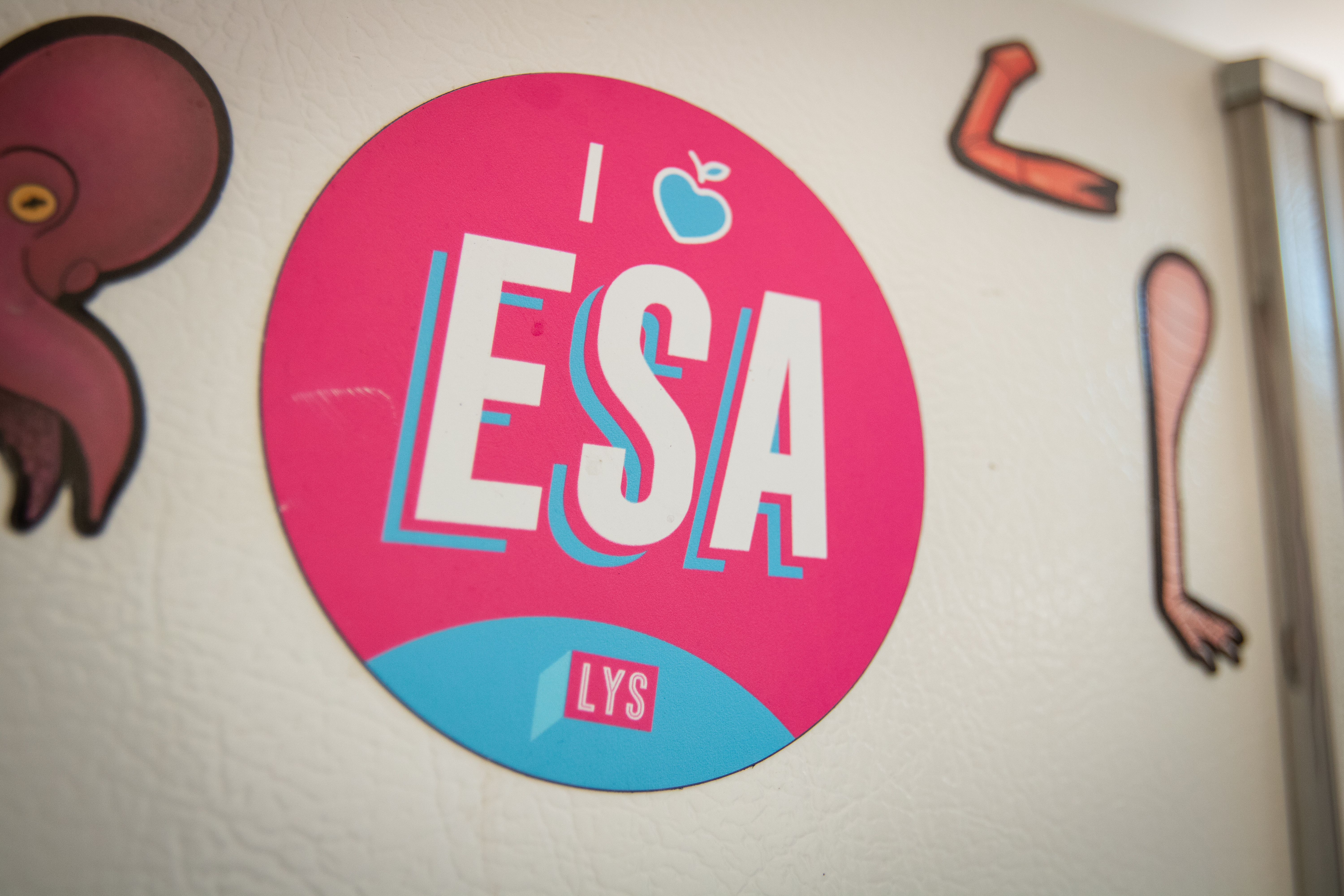 New Arizona-based AI platform aims to reduce voucher misspending and streamline reimbursement process