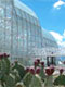 Biosphere 2