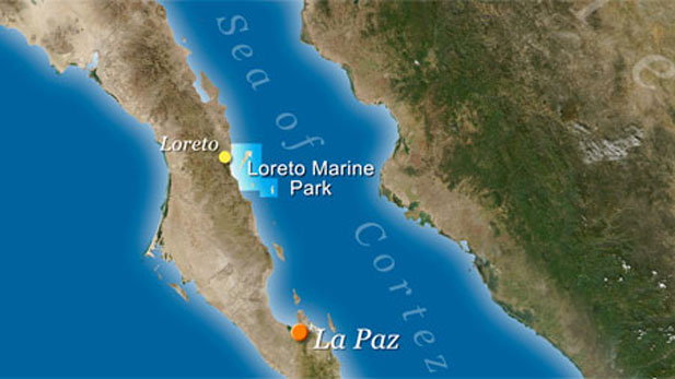 Loreto Marine Sanctuary