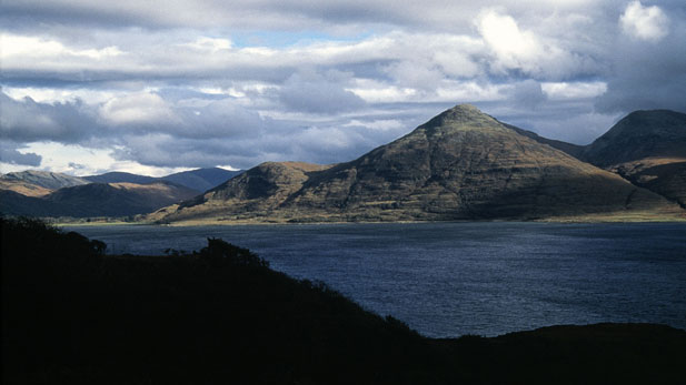 The island of Mull, off the coast of western Scotland, hosts an amazing diversity of life