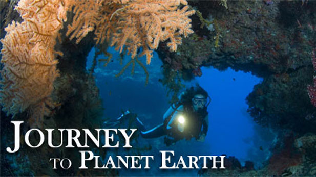 Journey to Planet Earth, State of the Ocean's Animals