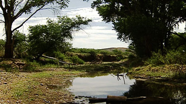 San Pedro River